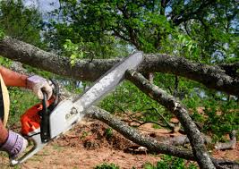 Best Lot and Land Clearing  in Greenville, NY